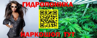 гидра Баксан
