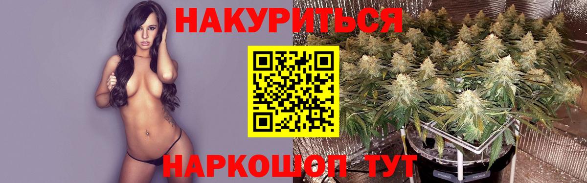 Конопля конопля Людиново